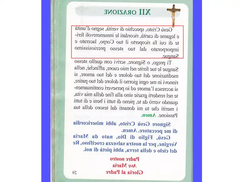 Il testo alternativo per l'immagine potrebbe essere: Santa Brigida in preghiera: ispirazione per una vita spirituale più profonda.